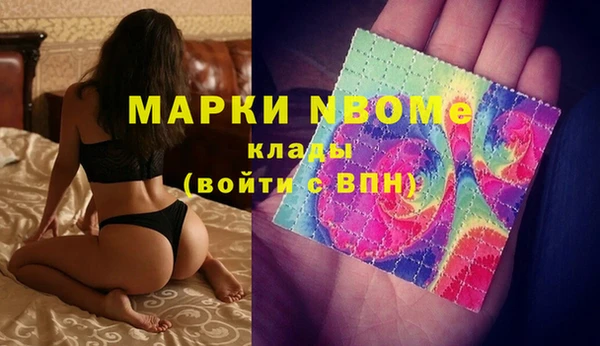 Альфа ПВП Верея